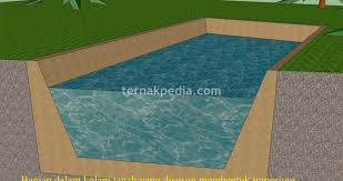 Cara Pembuatan Kolam Ikan Lele Dari Tanah Ternakpedia