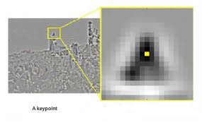 One or more orientations are assigned to each keypoint. Sift Theory And Practice Keypoint Orientations Ai Shack