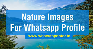 Below you will find our collection of profile pictures like nature profile pictures, sceneries for facebook, nature profile pics, nature pics for facebook profile, nature pics for whatsapp, collected from a variety of sources. 314 New Nature Images For Whatsapp Profile Nature Whatsapp Dp Download
