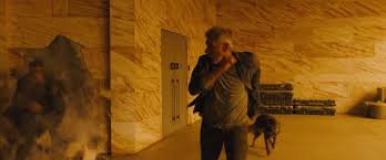 Résultat de recherche d'images pour "blade runner 2049"