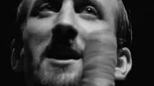 Westport Animal Shelter Advocates