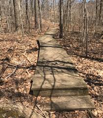 The common application, commonly referred to as the common app, is just what it sounds like— a single application that you can use to apply to multiple schools. The 2019 2020 Common App Essay Prompts Parents Guide To The College Puzzle