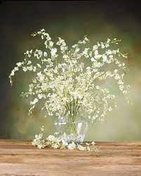 Maybe you would like to learn more about one of these? Oncidium Orchid Silk Flower Stem Oncidium Orchids Flowers Flower Arrangements