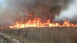 Según el pronóstico de la dirección de agricultura y contingencias climáticas, la. Mendoza Danos E Incendios Por Viento Zonda En El Valle De Uco