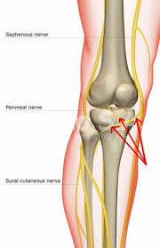 Pin On Knee Pain