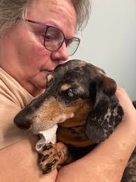 James Darren, actor and singer, passes away at 88