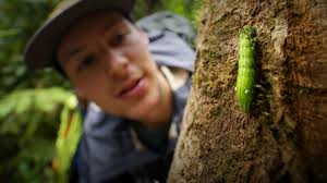 Episode 4: Does Nature Have Rights?