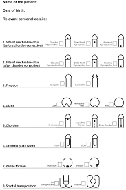 Image result for Chordee