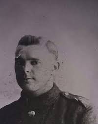 Trees planted in memory of WW1 heroes to be cut down