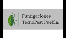 Fumigaciones TecnoPest Puebla