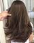 Haircut For Long Straight Hair With Layers Back View