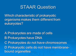 Posted by brian stocker ma. Science Staar Notebook Biology Category 1 Ppt Video Online Download