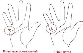 как по руке узнать сколько будет детей у женщины Hiromantiya Opredelenie Kolichestva Detej Po Ruke Hiromantiya Kak Uznat Skolko Budet Detej