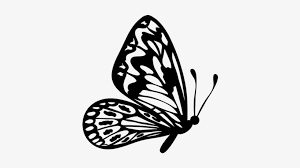 Check our collection of butterfly clipart black and white, search and use these free images for powerpoint presentation, reports, websites, pdf, graphic design or any other project you are working on now. Flying Butterfly Outline Clipart Flying Butterfly Clipart Black And White 600x470 Png Download Pngkit