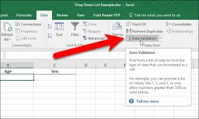 How To Add A Drop Down List To A Cell In Excel Drop Down List Excel Data Validation