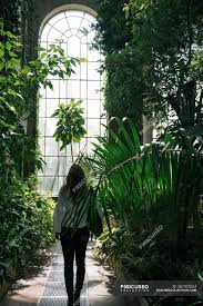 When the customer recently renewed her driver license online, she received an image of a chair because that was the last picture. Back View Of Woman Walking Between Green Plants And Bushes Inside Of Old Greenhouse With High Ceiling And Arched Window Scotland Glass People Stock Photo 287922524