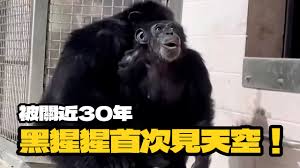 ETtoday寵物雲