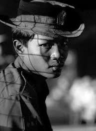 Review of Brave New Burma