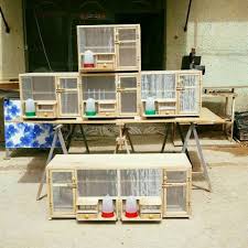 pin by max almeida on pigeon turkesh pigeon loft pigeon loft design diy bird cage