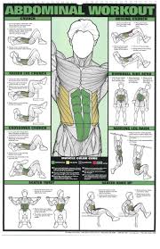 16 Shoulders Guys Muscle Charts Fitness Exercise Chart Hd
