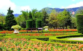 They are native to scrub and dry grassland in an area stretching from the. Harga Tiket Masuk Dan Lokasi Pratin Kutabawa Purbalingga Flower Garden Di Bawah Kaki Gunung Daka Tour
