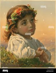 Boston daisy hi-res stock photography and images