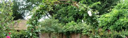 Vigoro fabric and garden staples quicklyvigoro fabric and garden please note that vigoro metal anchoring stakes are intentionally made to corrode when in the ground because this will. 12mm Abinger Arches Tunnels Muntons Traditional Plant Supports Garden Arches Plants Plant Supports