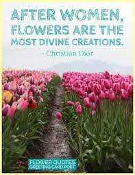 Whether it's roses for valentine's, daisies to get well soon, or lilies and orchids at a wedding, everyone loves a stunning floral arrangement and bright. 57 Flower Quotes To Appreciate Their Beauty Greeting Card Poet