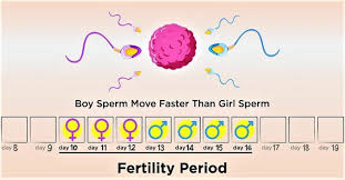 Pin On Mamaternity