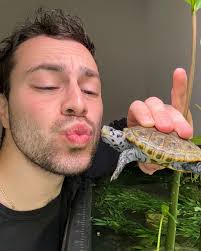 DanTheTurtleMan