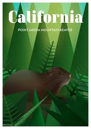 These Nature Posters Show The Most Endangered Species In Each Us State Endangered Wildlife Endangered Endangered Species
