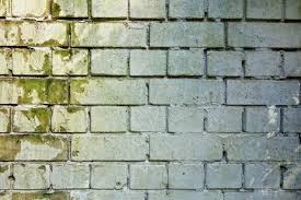 Maybe you would like to learn more about one of these? Will A Dehumidifier Kill Mold