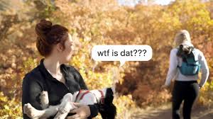 K9 SPORT SACK® TRAINER