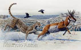Vanished With The Sabertooths The American Cheetahs Ancient Animals Prehistoric Animals Extinct Animals