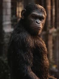Dawn Of The Planet Of The Apes Full Movie 2014 Vertical Film Dawn Of The Planet Planet Of The Apes Apes