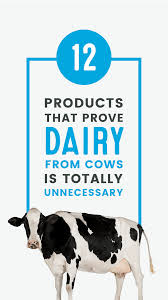 12 Products That Prove Dairy From Cows Is Totally Unnecessary Cow Products Dairy Free Alternatives Dairy Alternatives