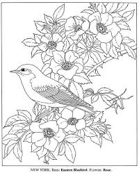 It is perfect for preschoolers and kindergarteners. New York State Bird Printable Bird Coloring Pages Animal Coloring Pages Spring Coloring Pages