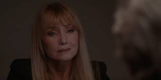 Who Is Carla Marino, Alden Parker's New Enemy, in 'NCIS'?