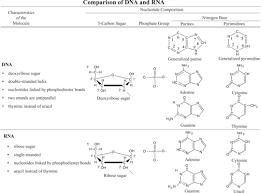 Check spelling or type a new query. Nucleic Acids Dna And Rna Primer Of Genetic Analysis A Problems Approach 3rd Ed