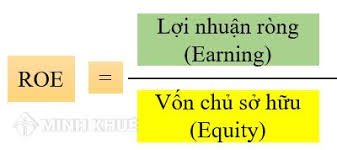 ROE là gì? Công thức tính chỉ số ROE trên báo cáo tài chính