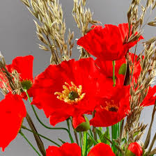 Fiveseasonstuff artificial poppy flowers & bouquets poppies are herbaceous plants, which often grow into showy and colourful flowers, though sustainable and stylish wedding ideas and suppliers in the uk. Poppy Bunch Red 74 Cm Artificial Flower Foliage