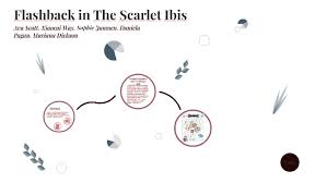 Flashback in The Scarlet Ibis by Ava Scott