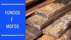 In 2020, the port of ponta da madeira handled 190.1 million tons. Madeiras Com Fungos E Mofo Boas Dicas Youtube