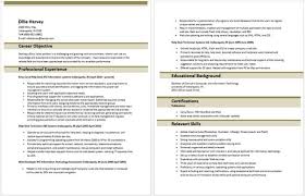 When applying for a job with no relevant experience in hand, create a resume that gives. For Entry Level It Resume Samples Format Information Technology Examples Summary Entry Level Information Technology Resume Examples Resume The Google Resume As400 Developer Resume Functional Resume Samples 2019 Scrum Master Resume Resume