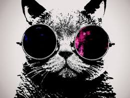 Contrary to popular belief, black cat names. Cool Names For Your Black Cat Pethelpful By Fellow Animal Lovers And Experts