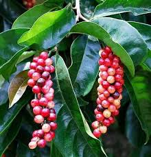 Pin On Beautiful Philippines