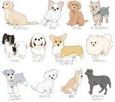 figarohouseオリジナル 犬イラストwebフリー素材配布コーナー figarohouse チワワ イラスト 犬 イラスト 無料 犬 イラスト かわいい