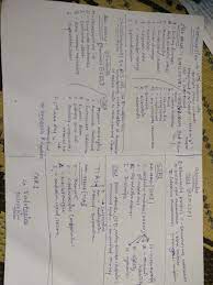 Medical Mnemonics Tetracycline Chloramphenicol Ssri Tcas Medical Mnemonics Nursing School Survival Nursing Students