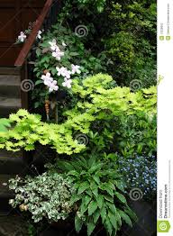 Pin By Darko Plohl On Perennials Beautiful Gardens Plants Images Of Colours