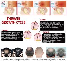 Hair growth is stimulated at the scalp level thanks to red light, and nir adds another dimension to this by helping treat any underlying conditions that could be causing hair loss. Dgyao Red Light Infrared Light Therapy For Hair Loss Hair Growth Cap Portable Foldable Therapy Cap For Women And Men Dgyao Red Infrared Light Therapy Device